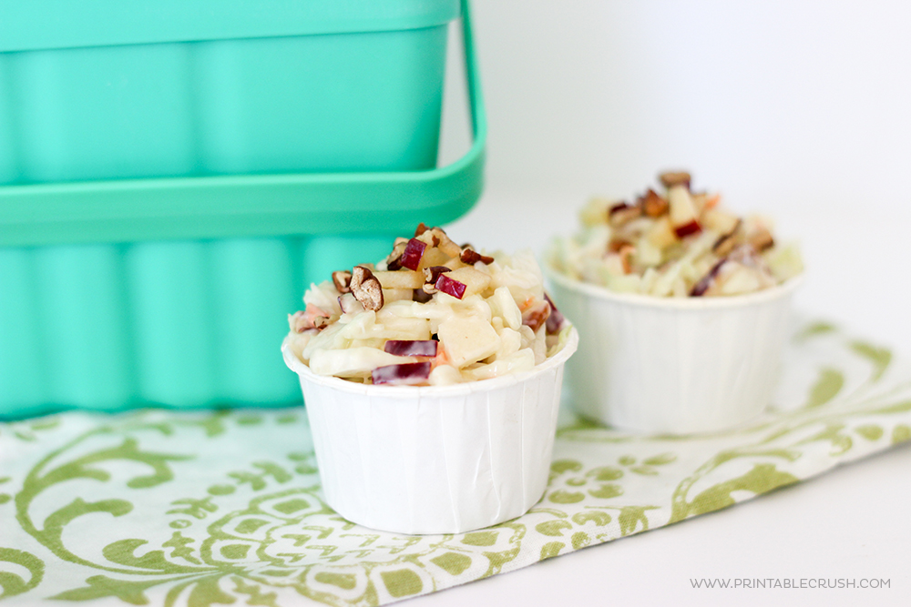The mix of sweet and tangy makes this Apple Pecan Coleslaw the perfect recipe for picnic time! Store it in a jar and serve in paper cups for an easy side dish.