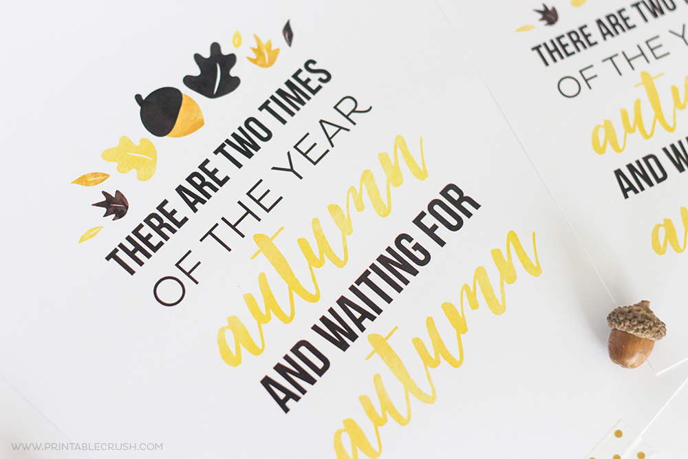 Print out this FREE Printable Wall Art for you Fall Home Decor. If Fall is your favorite season, then this is the printable for you!