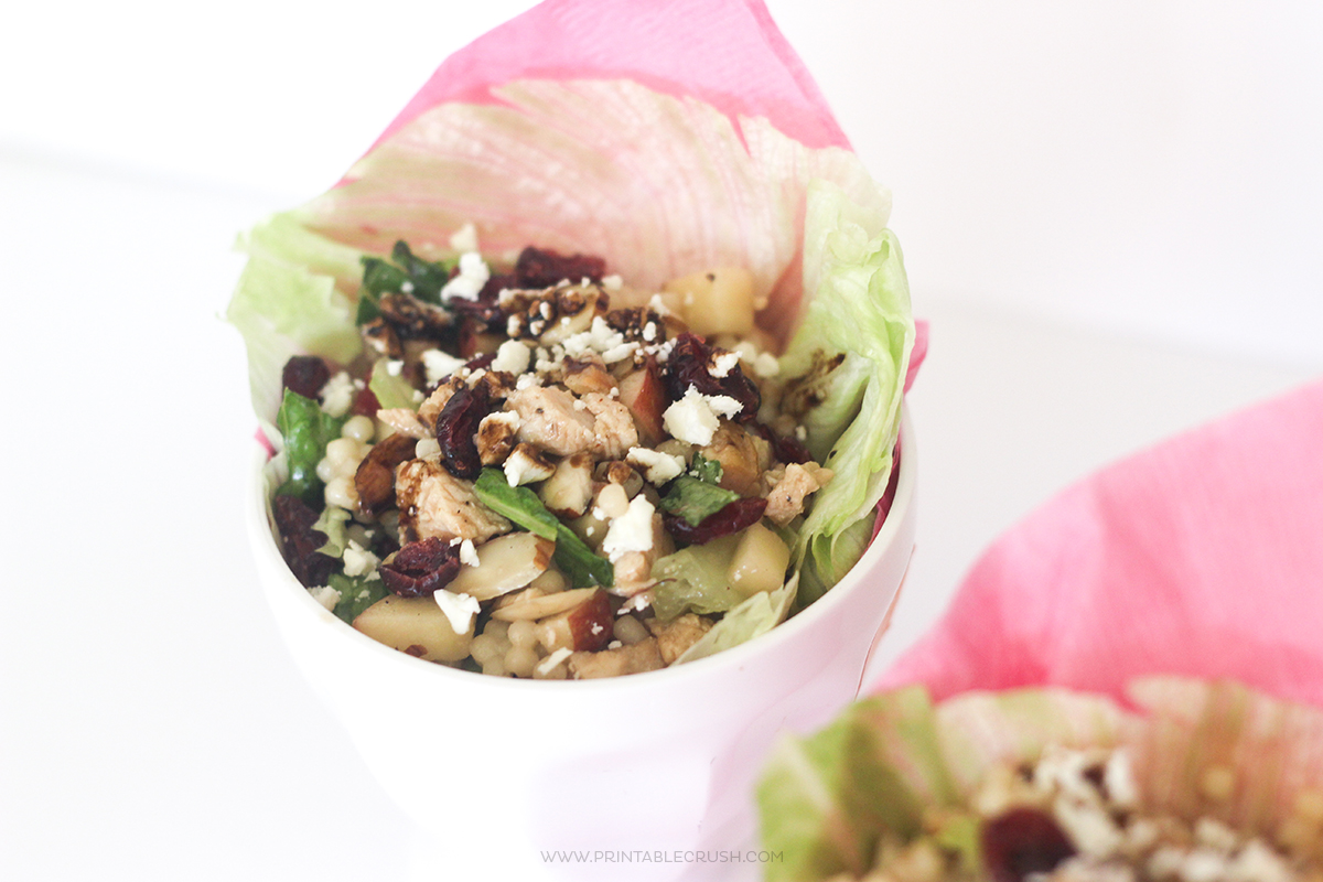 This Apple Cranberry Lettuce Wrap Recipe is so delicious and healthy. It's perfect for a healthy party side and hearty enough for a meal.