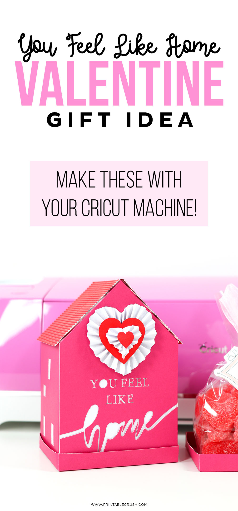 Use your Cricut to make this cute Valentine's Day Gift Idea