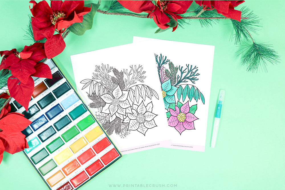 Free Poinsettia Coloring Page - Poinsettia Floral Coloring Page - Free Winter Coloring Page - Printable Crush
